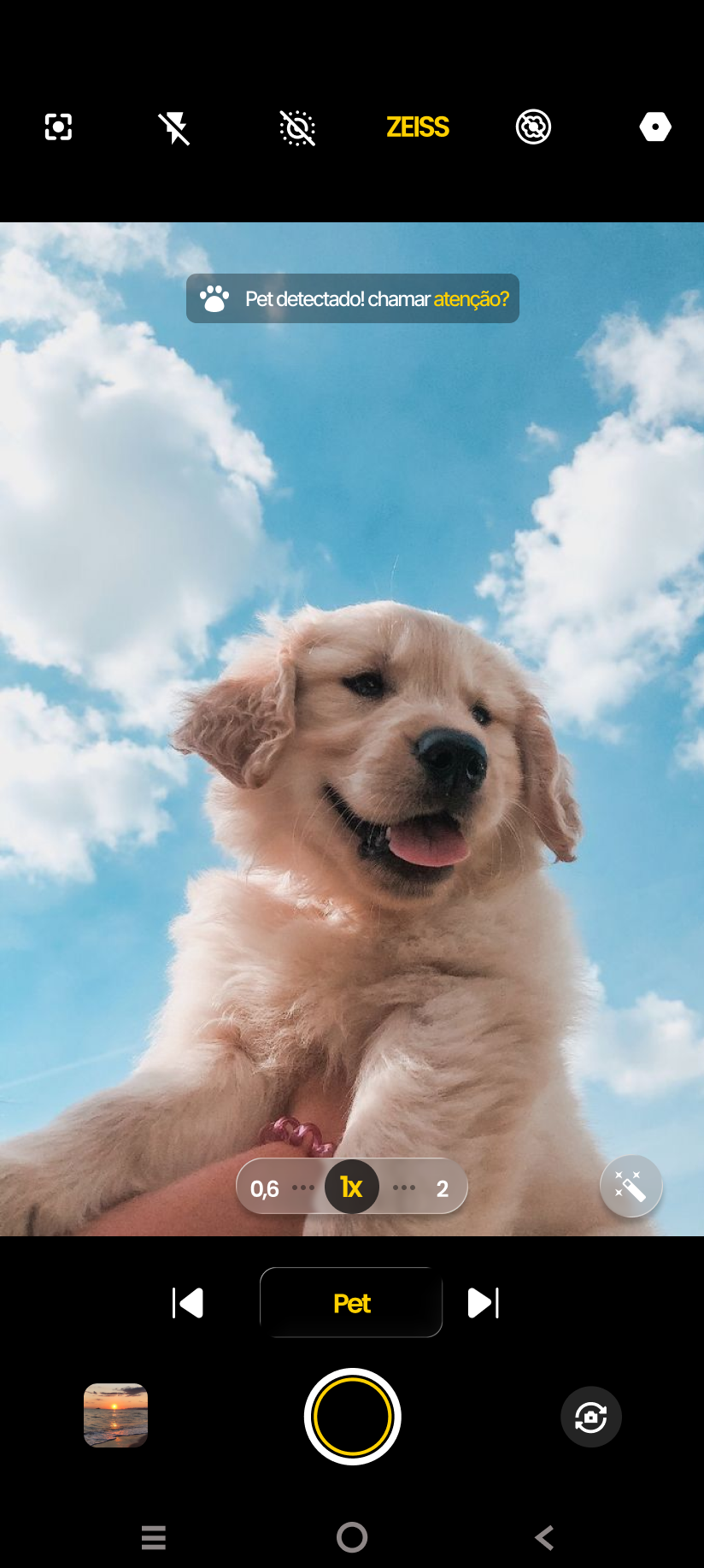 Imagem do modo pet